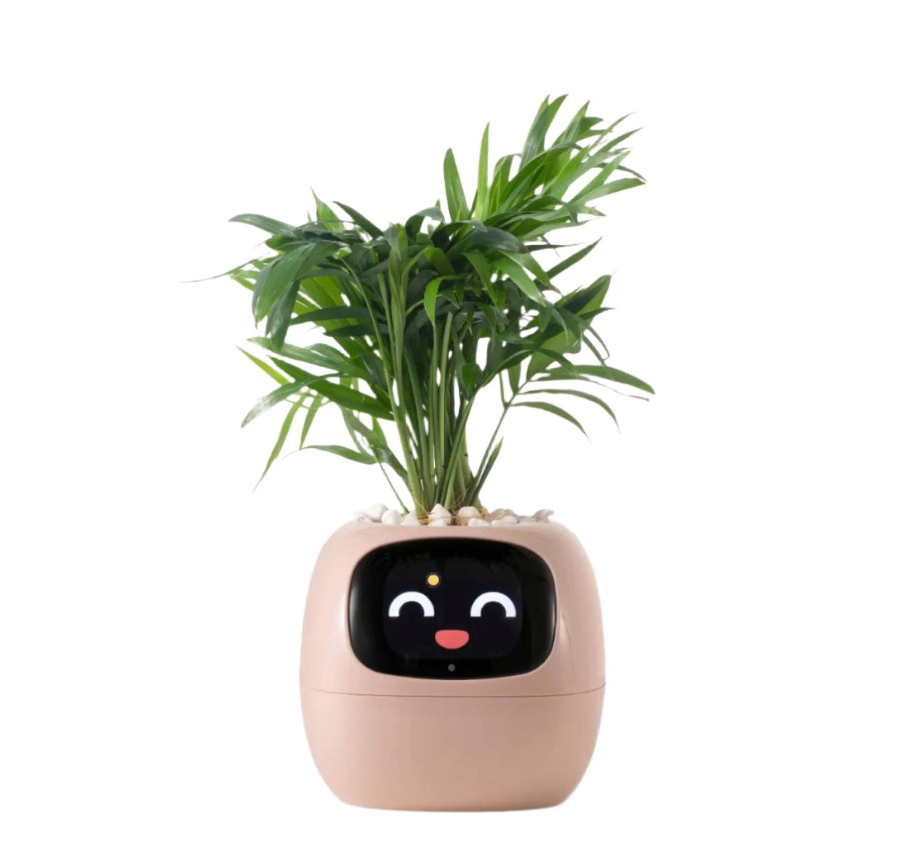 Smart Planter Endless Fun Over 49 Rich Expressions 7 Smart Sensors