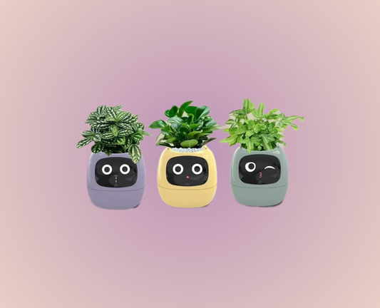 Smart Planter Endless Fun Over 49 Rich Expressions 7 Smart Sensors