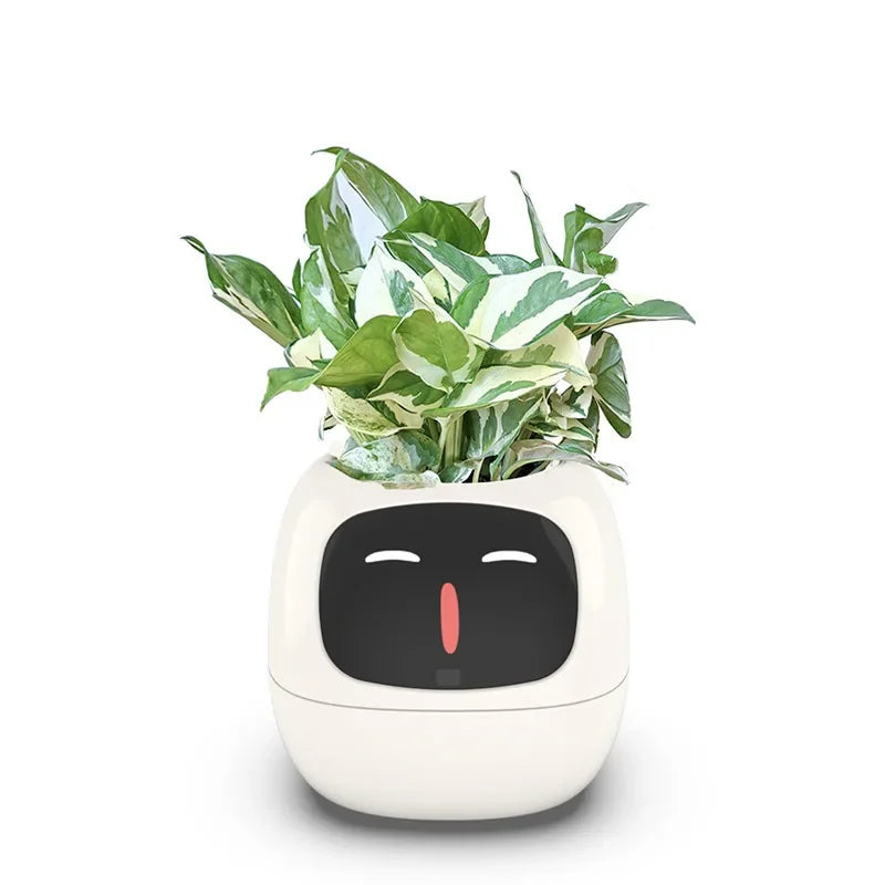 Smart Planter Endless Fun Over 49 Rich Expressions 7 Smart Sensors