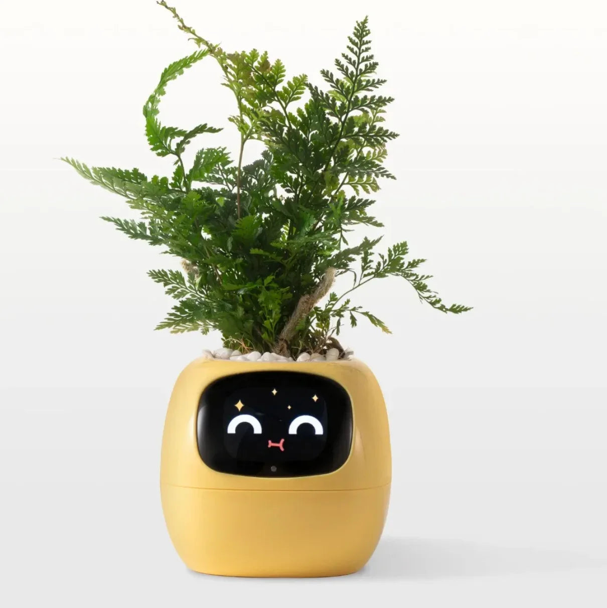 Smart Planter Endless Fun Over 49 Rich Expressions 7 Smart Sensors