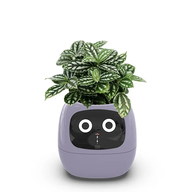 Smart Planter Endless Fun Over 49 Rich Expressions 7 Smart Sensors